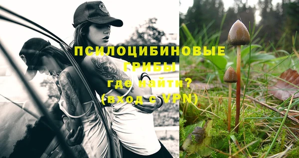 дурь Алексеевка