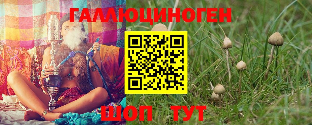 где купить наркоту  Вход с VPN  Лянтор  Псилоцибиновые грибы Psilocybe 